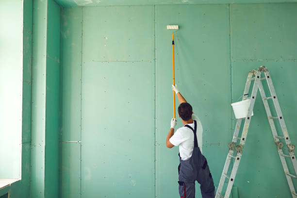 Best Basement Mold Removal  in Summitville, IN